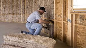 Best Attic Insulation Installation  in Pike Creek Valley, DE